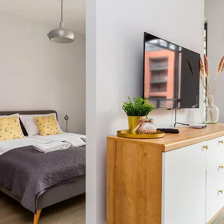 Zlota Laka Cosy